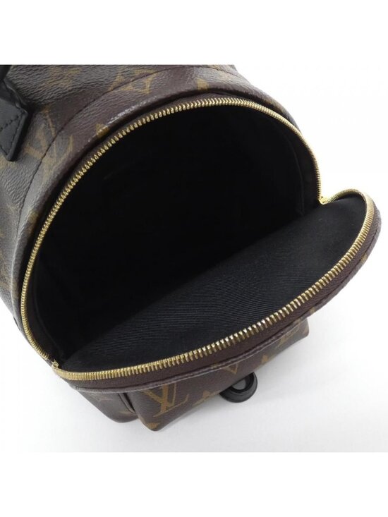 Louis Vuitton Monogram Palm Springs Backpack Mini main image 8